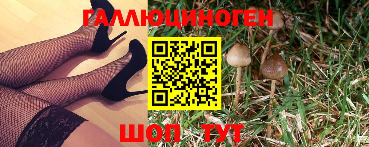 Псилоцибиновые грибы Magic Shrooms Чайковский