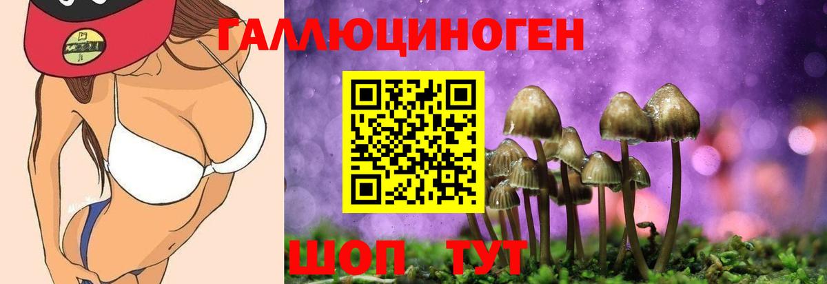 Псилоцибиновые грибы GOLDEN TEACHER  Вход с VPN  Чайковский 